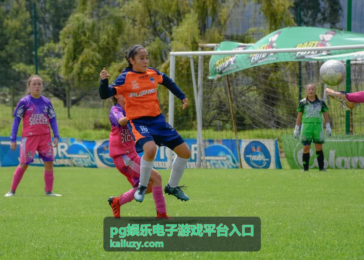 pg娱乐电子游戏平台入口页面核对示意