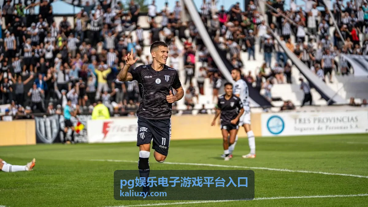 pg娱乐电子游戏平台入口功能说明